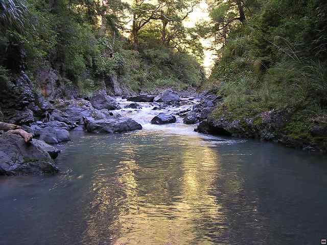 NZ leden-unor 2006 229.jpg